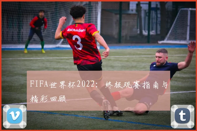 FIFA世界杯2022:终极观赛指南与精彩回顾