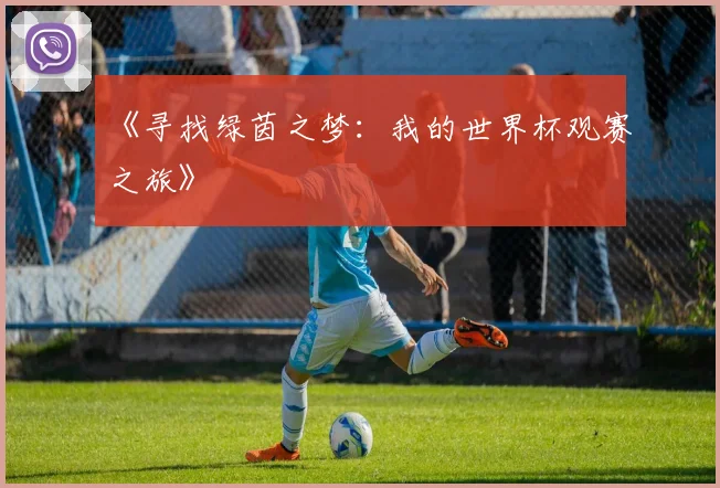 《寻找绿茵之梦：我的世界杯观赛之旅》