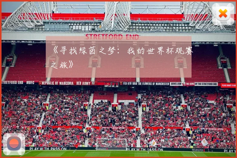《寻找绿茵之梦:我的世界杯观赛之旅》
